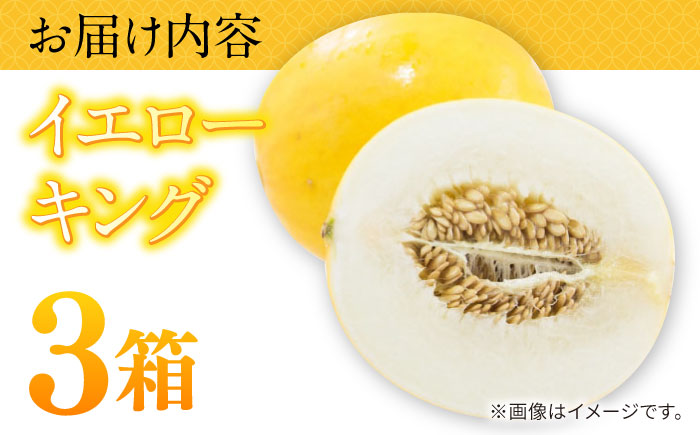 【2026年5月～発送】メロン イエローキング 3箱 （1箱 3～6玉）/ メロン めろん フルーツ 果物 / 南島原市 / 南島原果物屋 [SCV041]