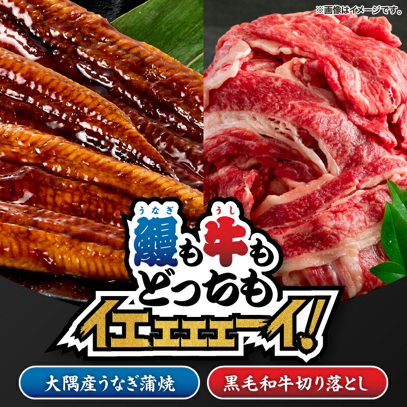【ふるさと納税】【鰻も牛もどっちもイエェェェーイ！1】 [鹿児島県大隅産うなぎ蒲焼1尾 （約125g〜150g）、鹿児島県産 黒毛和牛 切り落とし 800g（400g×2パック）] うなぎ 鰻 ウナギ 黒毛和牛 牛肉【株式会社nixy 中山亭 鹿屋店】