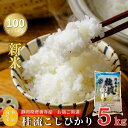 【ふるさと納税】 【 令和6年産 】米 桂流 こしひかり 5kg 特別栽培米 【 数量限定 100セット 】 コシヒカリ 白米 お米 おこめ 精米 ブランド米 国産 ごはん ご飯 おにぎり おむすび 弁当 送料無料 お取り寄せ 静岡 静岡県 伊豆市 [010-018]