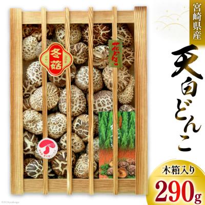 ふるさと納税 美郷町 宮崎県産 乾椎茸 ギフト 天白 どんこ 「K-100」 290g 肉厚 [31ac0037]