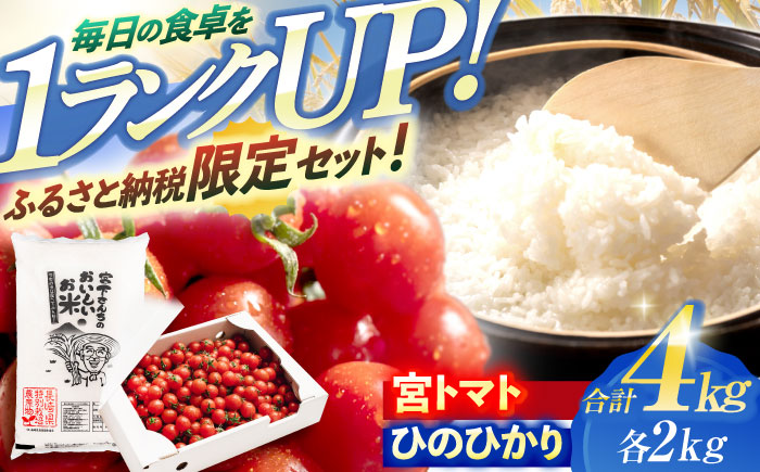 「宮トマト」2kg・特別栽培米「ひのひかり」2kg / トマト とまと ミニトマト プチトマト 野菜 やさい 米 コメ こめ おこめ お米 白米 ひのひかり ヒノヒカリ / 諫早市 / 株式会社宮下農園[AHCG014]