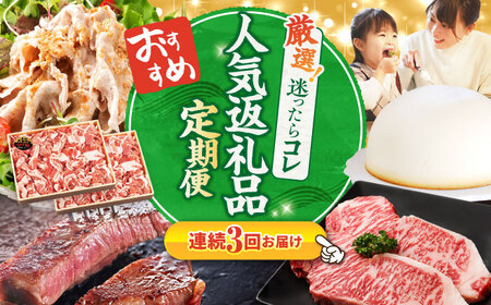 3回定期便 上位人気 西海の宝物定期便 | CZZ023 定期便