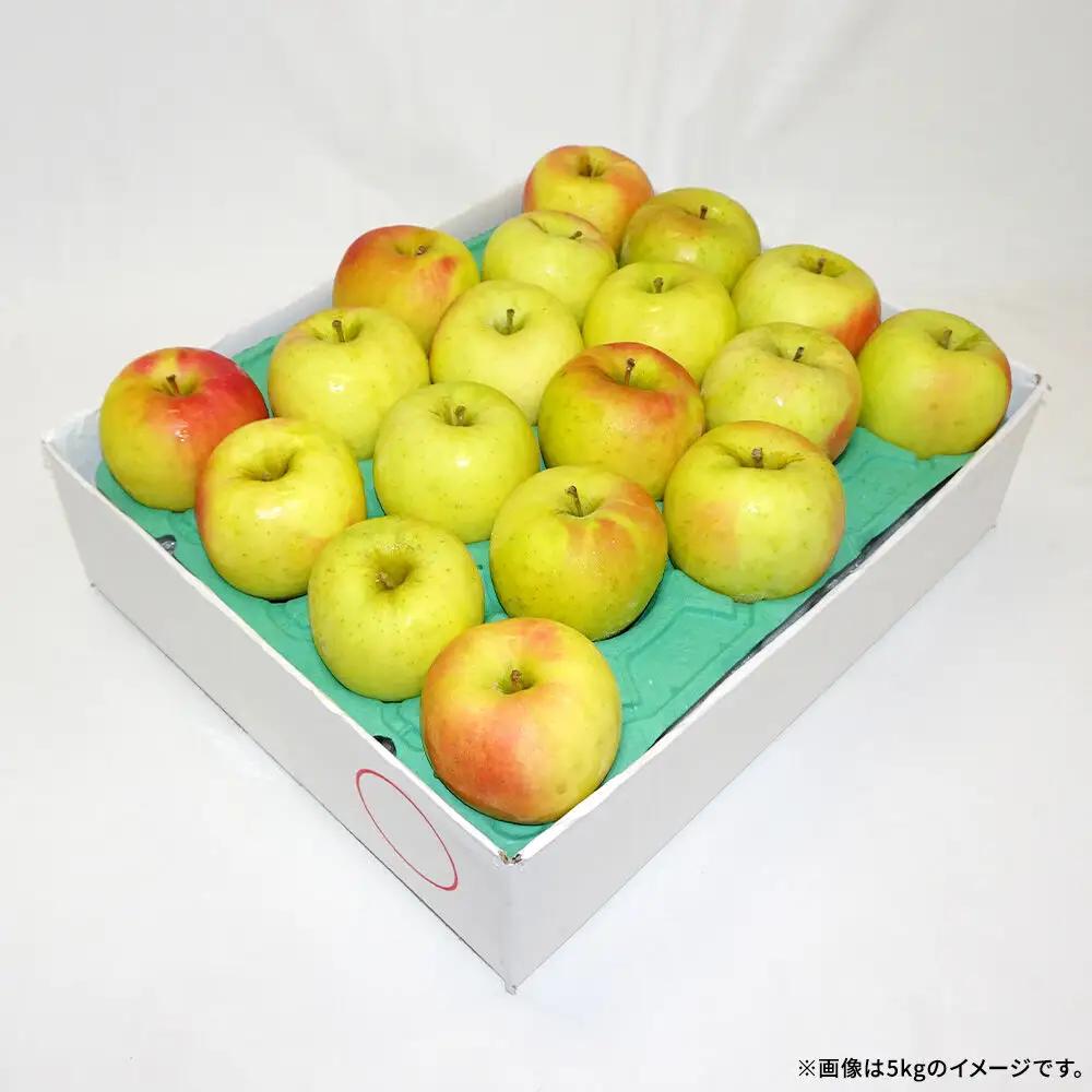【26年12月発送】りんご 名月【良品】約5kg キタエアップル 青森県 弘前市
