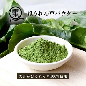 鹿屋満足 ほうれん草パウダー40ｇ 2598