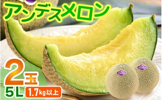 【先行予約】アンデスメロン 2玉入 5L（1.7kg以上×2玉）高糖度で抜群の美味しさお届け！／ 果物 フルーツ 産地直送 ※2026年6月下旬以降発送 [aw067-a004]