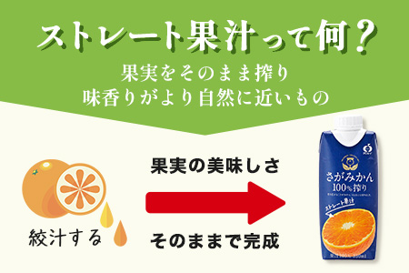 B-245 ＼工場直送／果汁100％ さがみかん100%搾り 330ml × 12本|計3960ml | 温州みかん果汁100% |ストレート|オレンジジュース|濃厚|フルーティ|鹿島市製造|人気|安