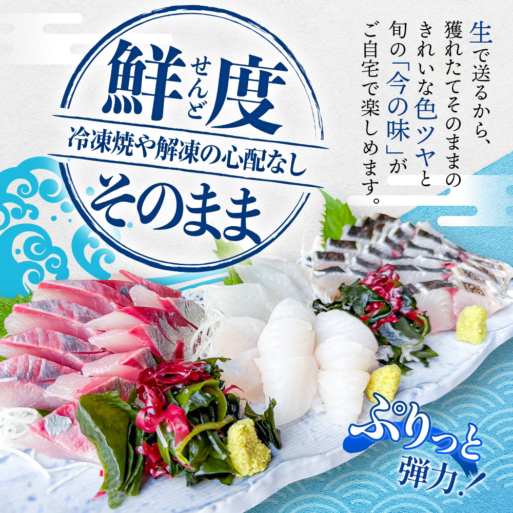 【冷蔵】刺身詰め合わせ（柵） 2-3人前（3種類） | 釣屋魚問屋直営 ひみ岸壁市場_イメージ3
