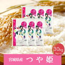 【ふるさと納税】《精米》令和5年産 宮城県産つや姫30kg