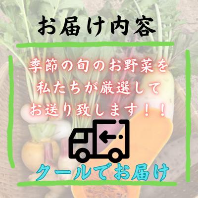 ふるさと納税 西桂町 富士山麓の農家直送!新鮮野菜!農家厳選の旬のお野菜セット約5〜8種類を約3kg〜5kgをお届けします |  | 03