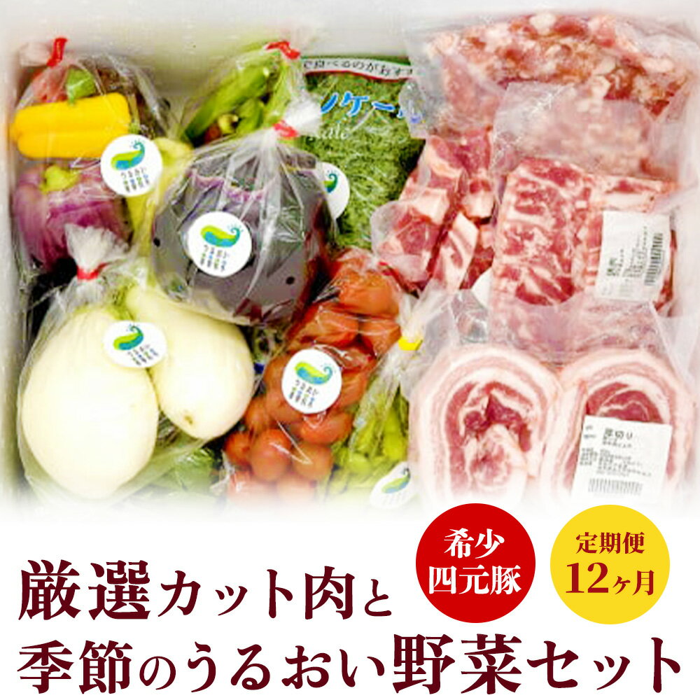 【ふるさと納税】定期便 12ヶ月 岩手 四元豚 厳選 カット肉 と 季節のうるおい野菜 セット GIFTON 新鮮 旬 野菜 冷蔵 希少 豚肉 ポーク 豚バラ ロース トンテキ しゃぶしゃぶ 薄切り 角切り ミンチ ひき肉 ごえん株式会社 うるおい春夏秋冬 ※レビューキャンペーン対象品※