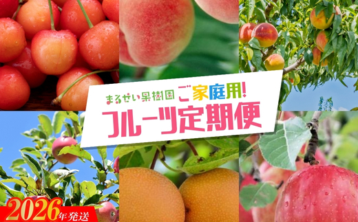 No.2945 まるせい果樹園　ご家庭用6回定期便【2025年発送】