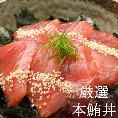 ふるさと納税 室戸市 初音のオススメ3回定期便B＜カツオ・漬け丼・本マグロ＞ |  | 02