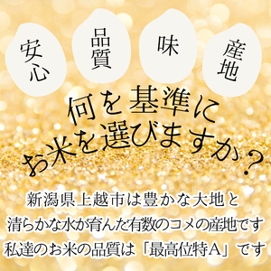 先行予約/令和7年産/上越市産/コシヒカリ/10kg/新米/精米/新潟/米/新潟県/こしひかり/限定/おすすめ