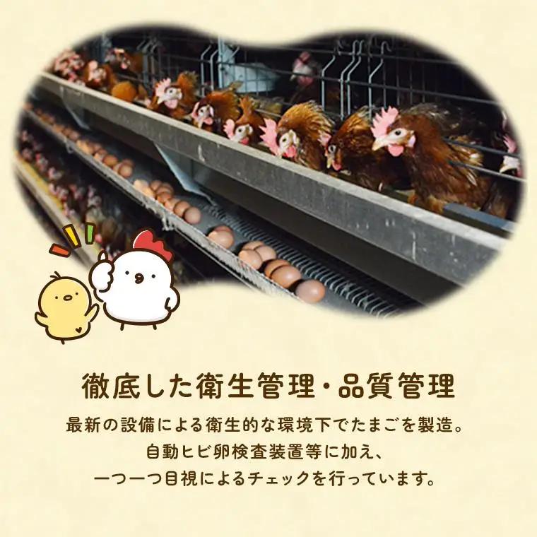 【定期便3回】九十九里ファームこだわりたまご贈答用 60個 ～あおい海・みどりの里～《白玉》 たまご 卵 玉子 タマゴ 白玉 卵かけご飯 新鮮 旨み 甘み 贈答用 贈答 ギフト 贈り物 千葉県 匝瑳市