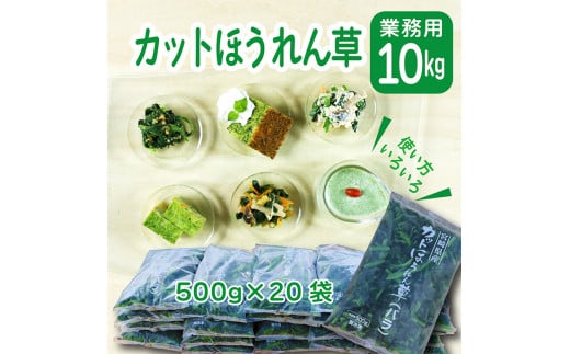 九州産 ほうれん草(10kg) 業務用 大容量 豊かな大地と清らかな水で育った安心・安全野菜 新鮮 採りたてを冷凍 送料無料 自然環境循環農業 サイドメニュー お惣菜 おかず 常備食材 仕入れ 旨味 バラ凍結 故郷納税 30000円 3万円 TF0590-P00019