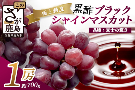 ブラックシャインマスカット 富士の輝き 1房(700g) |ふるさと納税  マスカット ぶどう 葡萄 果物 黒酢 フルーツ ふるさと くだもの スイーツ 【2026年8月下旬～9月下旬発送予定】佐賀県鹿島市 人気 送料無料 C-156