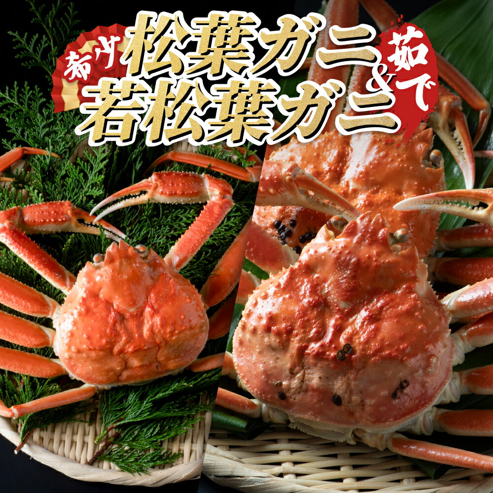 【ふるさと納税】松葉がに＆若松葉がにセット（ボイル）｜鳥取 岩美 日本海 かに 松葉ガニ ズワイガニ 【22009-1】