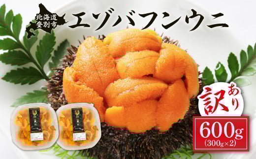 訳あり 規格外品 無添加 エゾバフンウニ 塩水パック 600g 配送期間B：10月下旬～11月下旬迄 うに ウニ 雲丹 生うに バフンウニ 塩水 パック詰め ふるさと納税 北海道 登別市