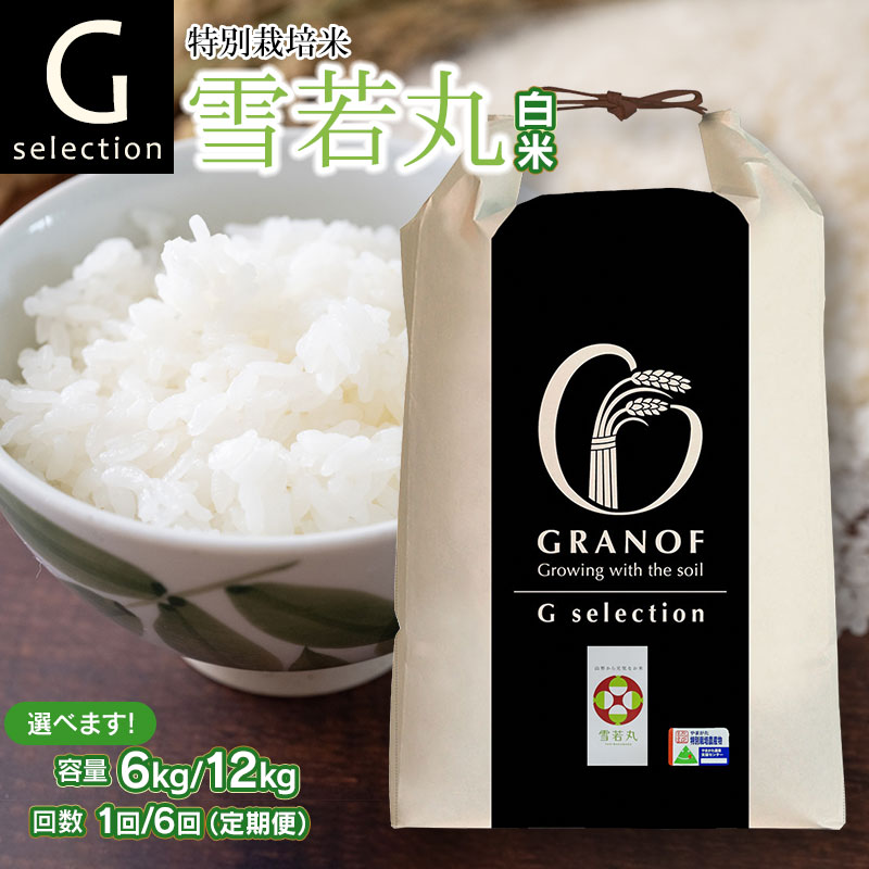 【ふるさと納税】【令和7年産先行予約】Gセレクション 特別栽培米 雪若丸 白米(精米) 山形県鶴岡産 容量(6kg or 12kg)・発送回数(1回・6回) 選べる　6ヶ月定期便（毎月1回中旬発送）　株式会社グラノフ