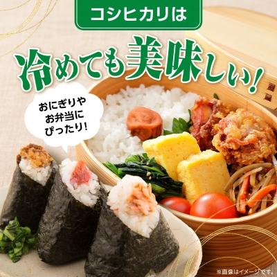 ふるさと納税 かすみがうら市 令和7年産かすみがうら市産コシヒカリ  精米  5kg |  | 03