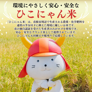 【令和7年産】減農薬米 近江米 きらみずき 白米 5kg ［shiba08] 白米