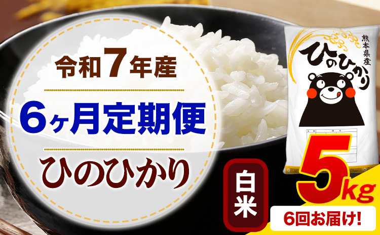 【6ヶ月定期便】 令和7年産 白米 ひのひかり 定期便 5kg《お申込み翌月から出荷》 熊本県産 ふるさと納税 精米 ひの 米 こめ ふるさとのうぜい ヒノヒカリ コメ お米---mifune_lcl_1385_mo6---
