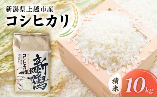【先行予約　9月中旬より順次出荷】令和7年度産　新潟県上越市産　コシヒカリ（特別栽培米）　10kg 米 お米 こしひかり ご飯 精米 新潟 上越