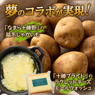 ふるさと納税 芽室町 越冬じゃがいも ラクレットチーズ1/2ホール(1,800g以上)me000-008c |  | 01