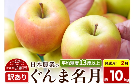 【27年2月発送】りんご ぐんま名月【訳あり】約10kg 平均糖度13度以上 青森県 弘前市 果物 フルーツ 林檎 リンゴ くだもの 不揃い 規格外 [先行受付 家庭用 産地直送 アップル 青森県 弘前市]