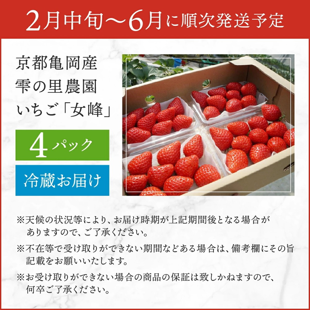 【来シーズン先行予約】京都亀岡産 雫の里農園 いちご【女峰】4パック ※化学肥料・農薬極力不使用≪苺 イチゴ フルーツ≫※2027年2月～発送
