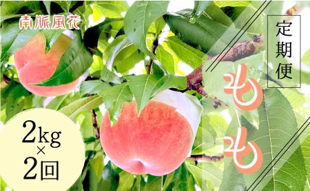 【先行予約】山梨県産桃　定期便2.0kg×2回 ALPAJ022