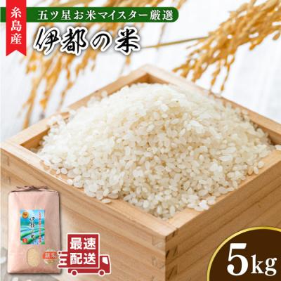 ふるさと納税 糸島市 伊都の米 5kg  糸島市/米屋納富 [ARL001] 白米 お米
