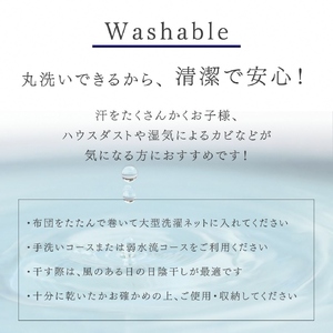 ＜京都金桝＞ 洗える  肌掛け 羽毛布団 シングル （ハンガリーホワイトダウン93% 400g）≪夏 軽量 DP380 ふるさと納税羽毛布団 新生活羽毛布団 羽毛布団 寝具 掛けふとん 布団 掛布団 