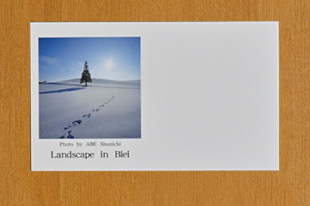 写真家　阿部俊一　名刺台紙・メッセージカード100枚(A)[005-05]