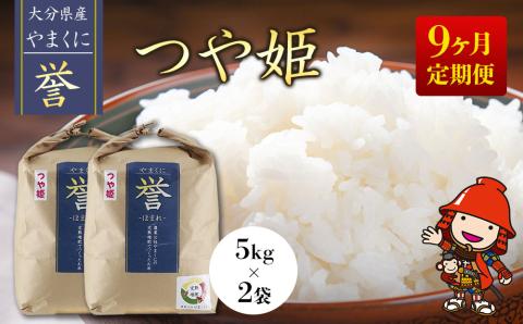 【先行予約】【9ヶ月定期便】九州米・食味コンクール最優秀賞受賞 令和6年産 大分県中津市産 やまくに誉 つや姫  5kg×2袋 (毎月1回)   お米 精米 白米 九州産 熨斗対応可