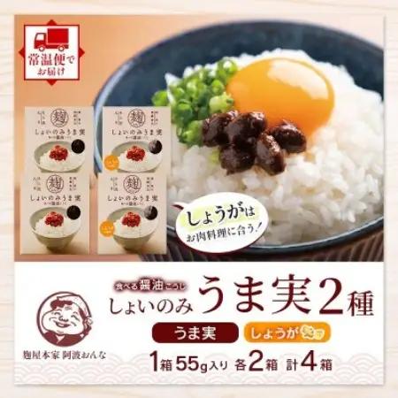 しょいのみ 2種セット うま実 しょうが味 各2箱 計4箱 発酵食品 徳島県 東みよし町【1740194】