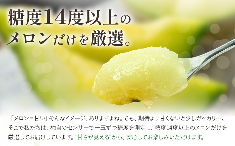 肥後グリーンメロン (中) Lサイズ 2玉【2024年5月上旬～6月下旬発送予定】