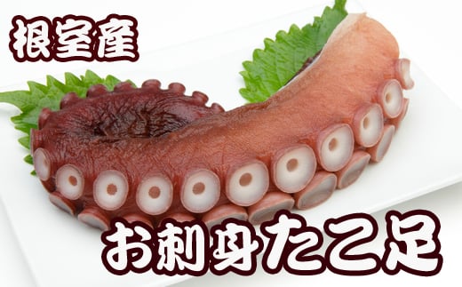 A-70051【年内配送可】 【北海道根室産】たこ足800g前後～1.4㎏前後×1本