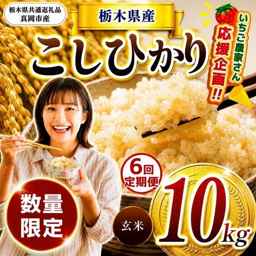 【定期６回】【先行予約】【令和8年度産】 栃木県産コシヒカリ 10kg | 【栃木県共通返礼品】