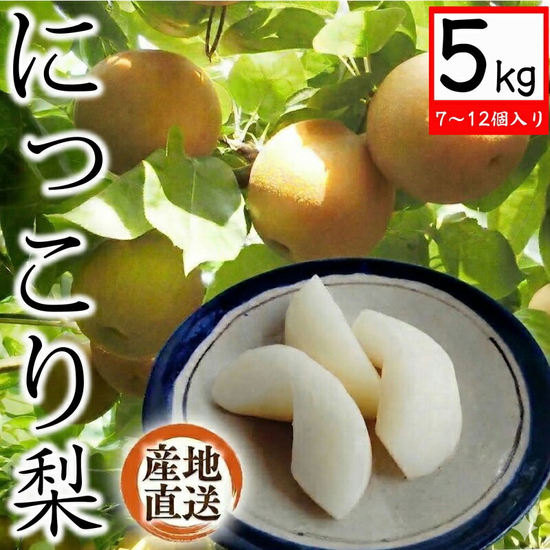 【ふるさと納税】 【 産地直送 】 にっこり梨 先行予約 梨 なし ナシ
