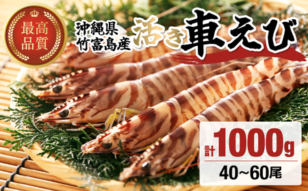 竹富島産 活車えび 1kg:40~60尾