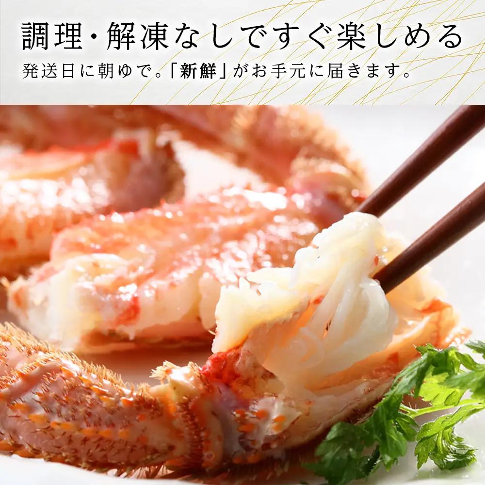 北海道産【朝ゆで】毛ガニ（500g前後）2尾 期間限定！＜かにのマルマサ＞ かに 毛がに カニ 千歳 北海道 海鮮
