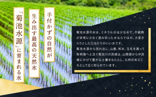 【定期便3回】R8年産熊本県産 無洗米 ほたるの灯り 20kg