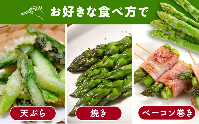 訳あり！朝採れアスパラガス１kg 《対馬市》【農家くんのアスパラファーム】  冷蔵 アスパラ とれたて 新鮮 野菜　産地直送 1万円 10000円 [WCT001]