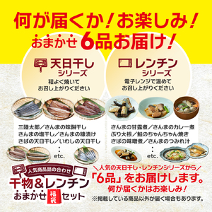 干物 ＆ レンチン おまかせ 福袋セット 干物
