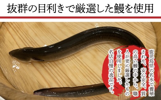 M686 国産 うなぎ 鰻 ウナギ 蒲焼き 蒲焼  約150g×3尾 真空 高級 宮若市