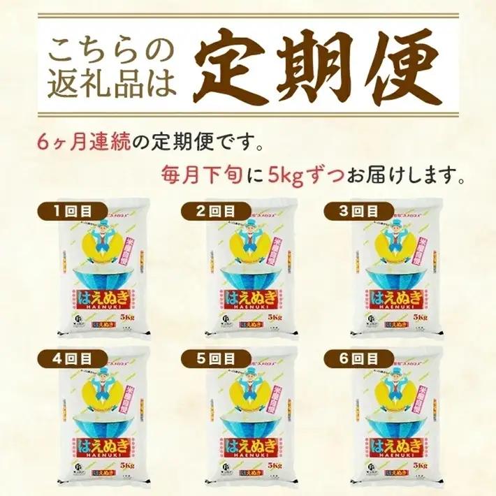 SH0092　9月下旬発送開始／【6回定期便】［精米］米屋自慢のはえぬき　5kg×6回(計30kg) TO