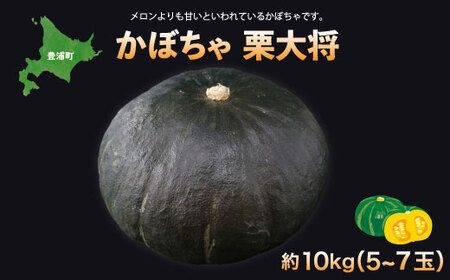 【先行予約】北海道 豊浦町 かぼちゃ 栗大将 約10kg 5～7玉（2025年9月の収穫後より順次発送）【かぼちゃ 南瓜 カボチャ 国産 北海道 豊浦町 】 TYUL003