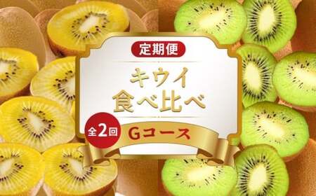 旬のフルーツ定期便 2回 Gコース フルーツ 定期便