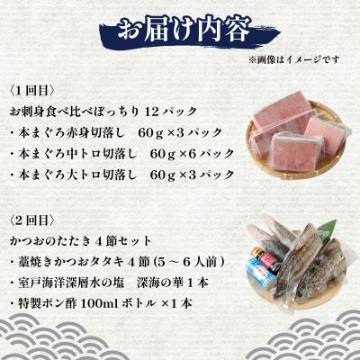 ふるさと納税 室戸市 【2回定期便】マグロとかつおの定期便 |  | 03